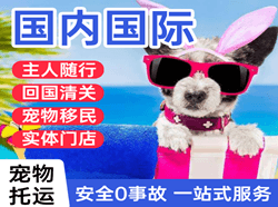 常德桃花源机场邮寄国际宠物托运 【国